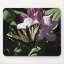 Recherche de rhododendron tapis souris Fleur
