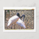 Recherche de grue cartes postales Design
