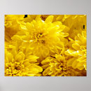 Recherche de fleurs fraîches posters Jaune