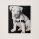 Recherche de pitbull puzzles Chiot