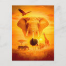 Recherche de savane africaine cartes postales Zèbre
