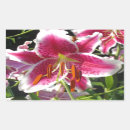 Recherche de nénuphars roses autocollants Botanique