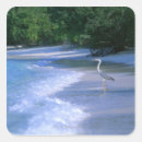 Recherche de maldives autocollants Nourriture et boisson