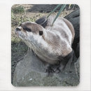 Recherche de mustelids tapis souris Loutre