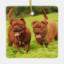 Recherche de dogue de bordeaux ornements Animal