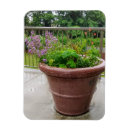 Recherche de horticulture magnets Rose
