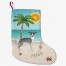 Recherche de greyhound chaussette de noël Mignon