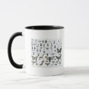 Recherche de zoologie tasses Espèces
