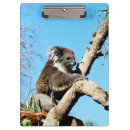 Recherche de koala porte blocs Pour tous