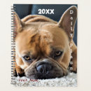 Recherche de french bulldog bureau fournitures Chien