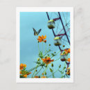 Recherche de papillon japonais cartes postales Nature