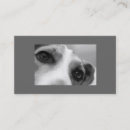 Recherche de yeux de chien cartes visite Chiens