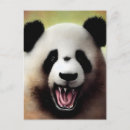 Recherche de ours panda cartes postales Faune