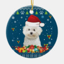 Recherche de bichon frise ornamente Bichons