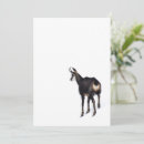 Recherche de alpin invitations Hiver