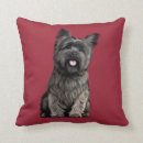 Recherche de terriers cairn coussins Animal familier