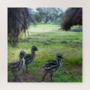 Recherche de poussins puzzles Oiseau