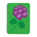 Recherche de géranium magnets Nature