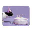 Recherche de porté magnets Animal