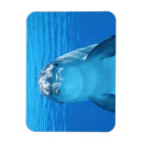 Recherche de fin magnets Bleu