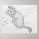 Recherche de furet posters Dessin
