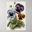 Recherche de peinture de fleur de pensée posters Pour tous