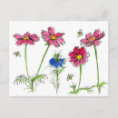 Recherche de fleur cosmo cartes postales Pour tous