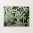 Recherche de baie puzzles Nature