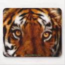 Recherche de tigre bengale tapis souris Tigres