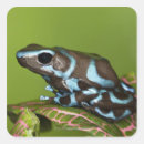 Recherche de sang autocollants Nature