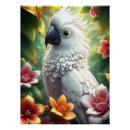 Recherche de perroquets posters Perruque
