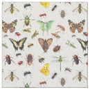 Recherche de libellule loisirs créatifs Insecte