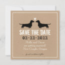 Recherche de chien de basset invitations Pour tous