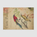 Recherche de papier peint vintage cartes postales Vieux