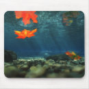 Recherche de galet tapis souris Bleu