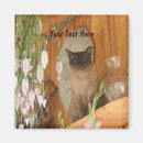 Recherche de posters magnets Animal