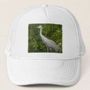 Recherche de grue casquettes Oiseau