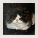 Recherche de chaton noir puzzles Félin