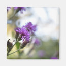 Recherche de originale magnets Photographie