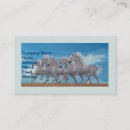 Recherche de cheval arabe cartes visite Animal