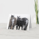 Recherche de mustang vœux cartes Cheval