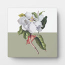 Recherche de fleurs vintages plaques Blanc