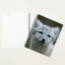 Recherche de renard arctique bureau fournitures Mignon