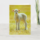 Recherche de jeune animal vœux cartes Animal de ferme