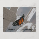 Recherche de papillon tigre cartes postales Insecte