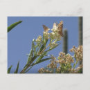 Recherche de priez cartes postales Mante