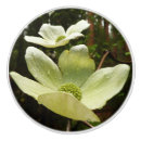 Recherche de printemps boutons et poignées de porte Nature