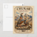 Recherche de perdrix cartes postales Oiseau de chasse