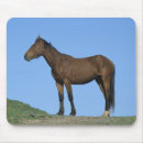 Recherche de chevaux sauvages mustang tapis souris Cheval
