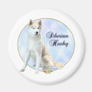 Recherche de husky maison deco Race de chien